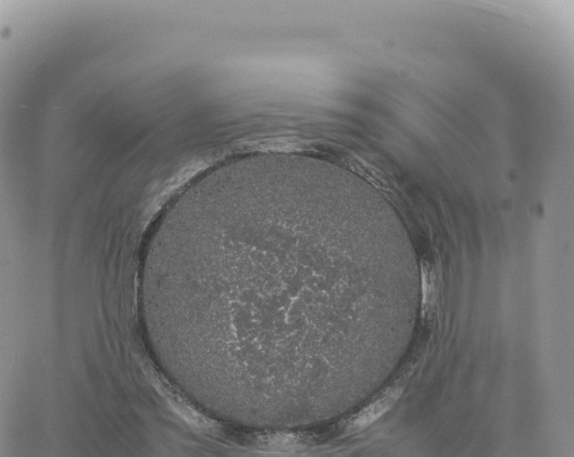 X0000061760301200512091708