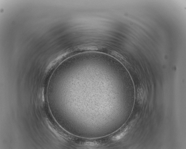 X0000061760302200512091708