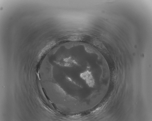 X0000061760303200512091708