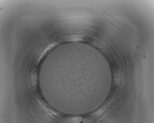 X0000061760304200512091708