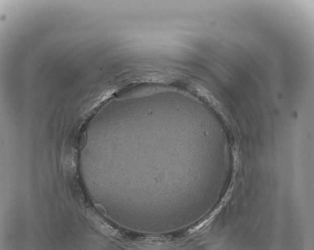 X0000061760305200512091708