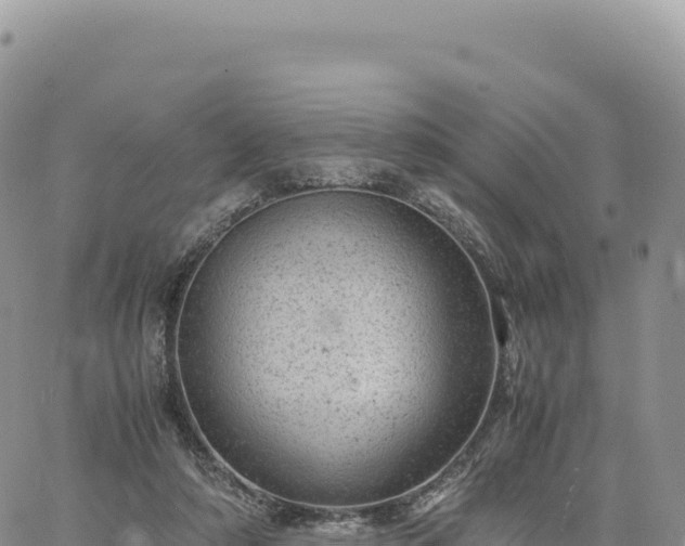 X0000061760306200512091708