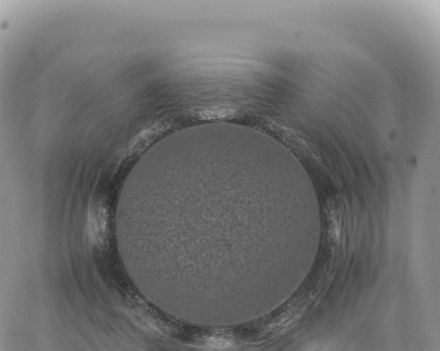 X0000061760308200512091708