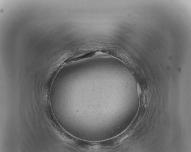 X0000061760309200512091708