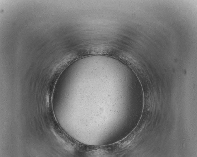 X0000061760310200512091708