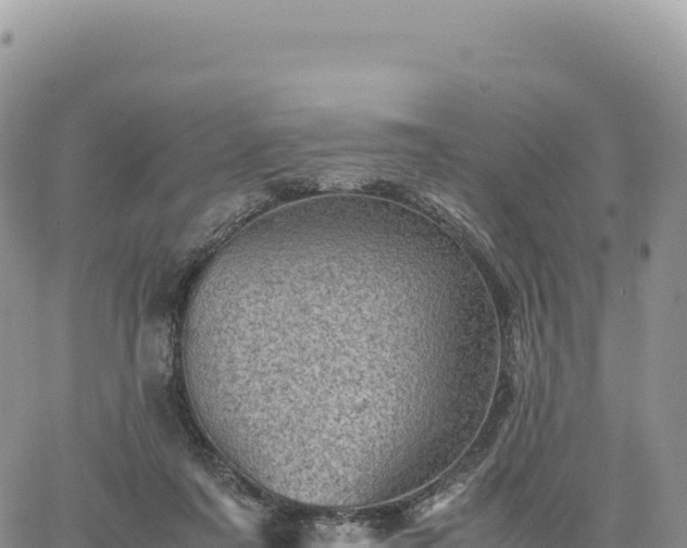 X0000061760311200512091708