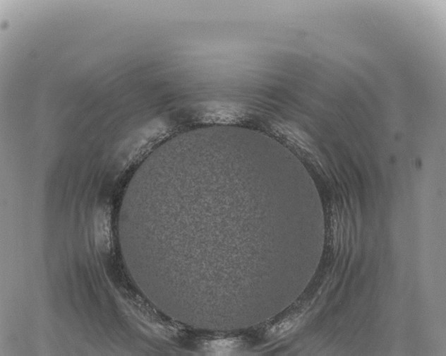 X0000061760312200512091708