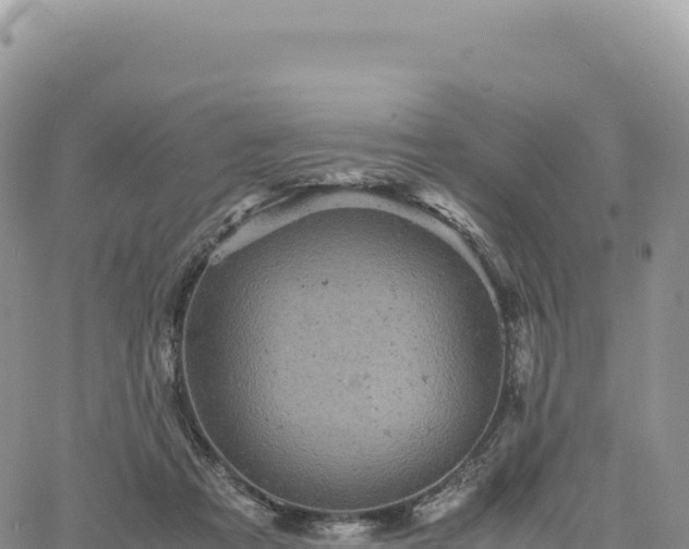 X0000061760313200512091708