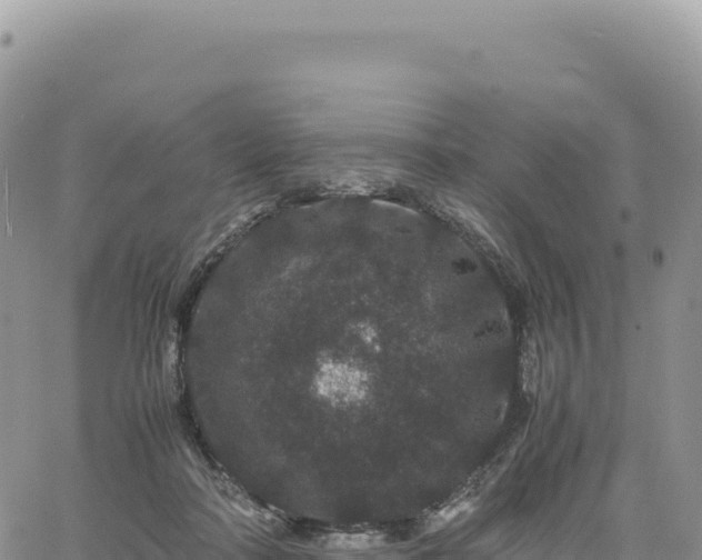 X0000061760314200512091708