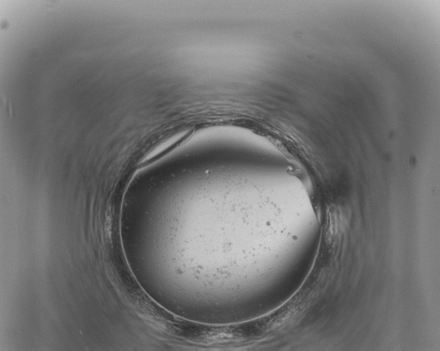 X0000061760315200512091708