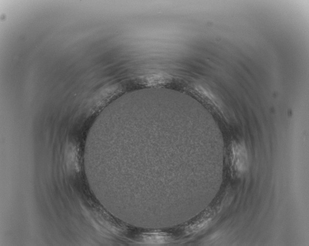 X0000061760316200512091708