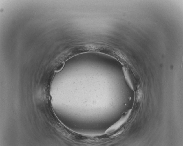 X0000061760317200512091708