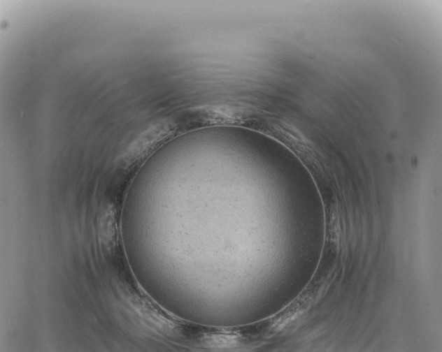 X0000061760318200512091708