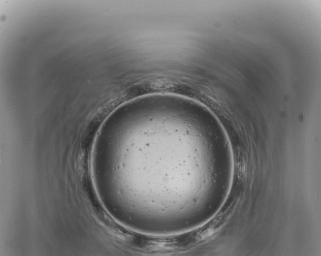 X0000061760319200512091708