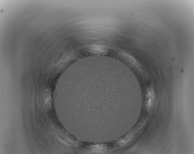 X0000061760320200512091708