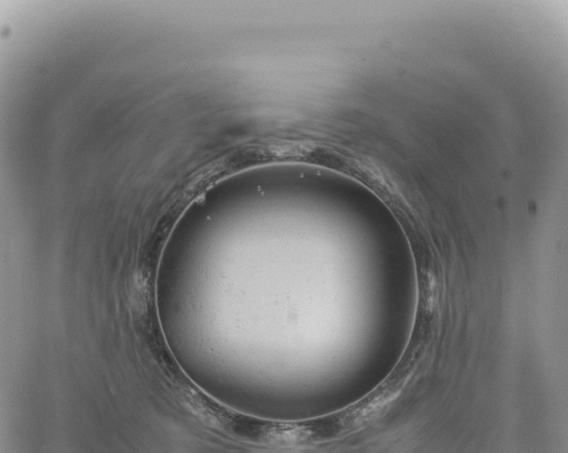 X0000061760321200512091708