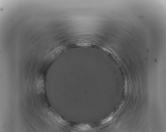 X0000061760322200512091708