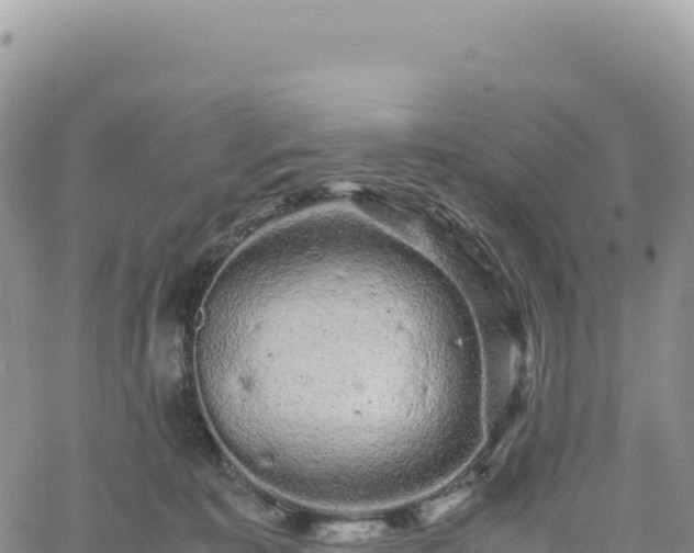 X0000061760323200512091708