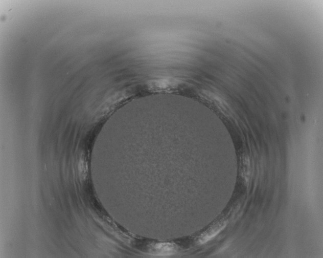 X0000061760324200512091708