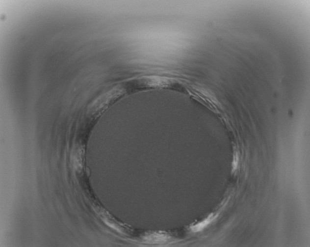 X0000061760325200512091708