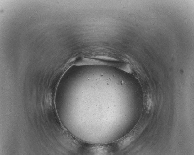 X0000061760326200512091707