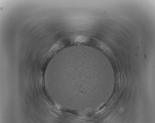 X0000061760328200512091707