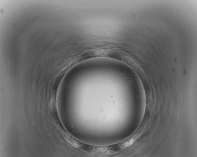 X0000061760329200512091707