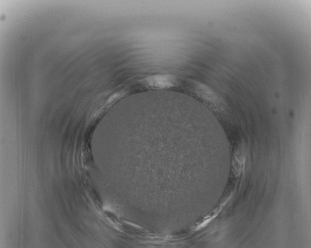 X0000061760330200512091707