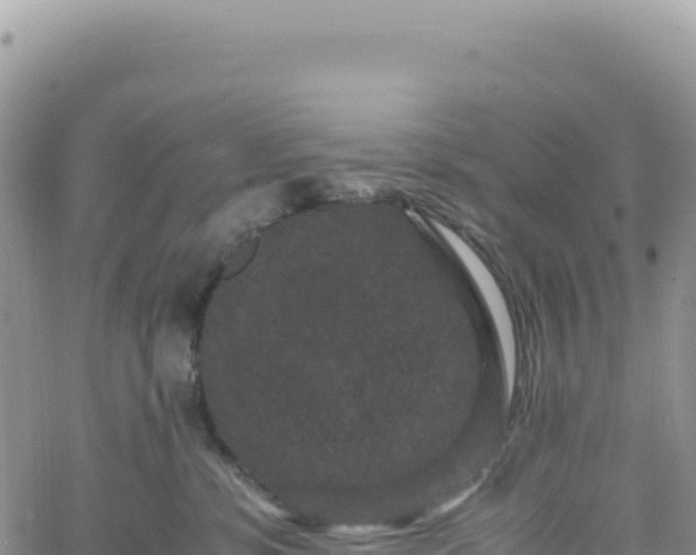 X0000061760331200512091707