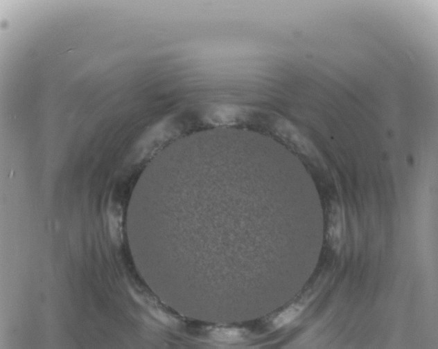 X0000061760332200512091707