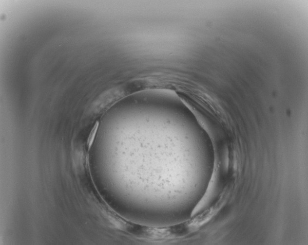 X0000061760333200512091707