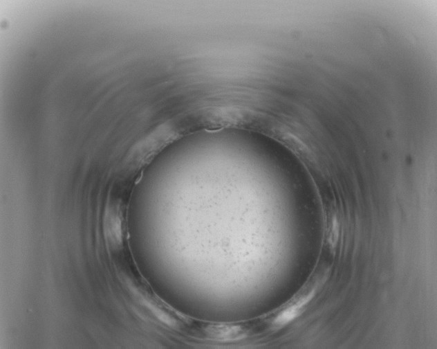 X0000061760334200512091707