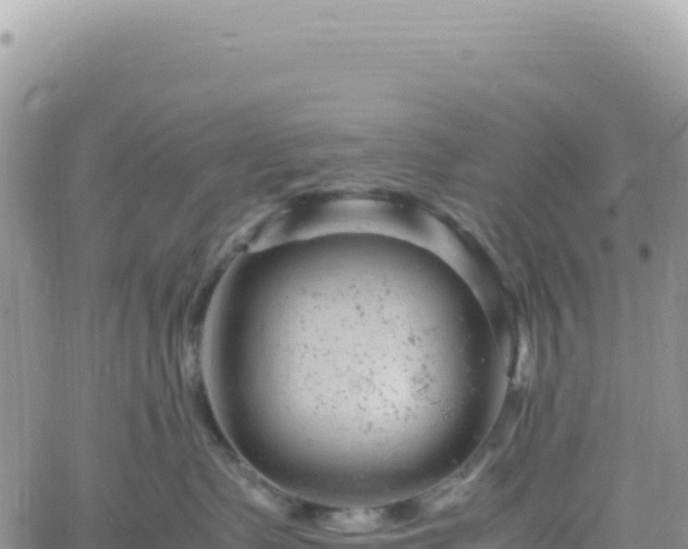 X0000061760335200512091707