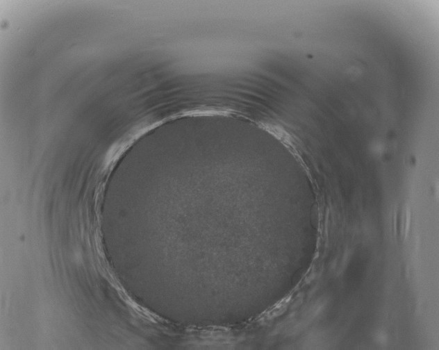 X0000061760337200512091707