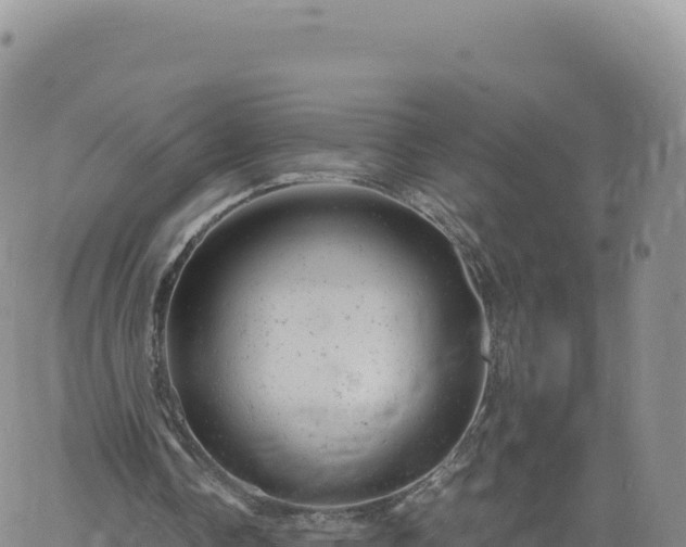 X0000061760338200512091707