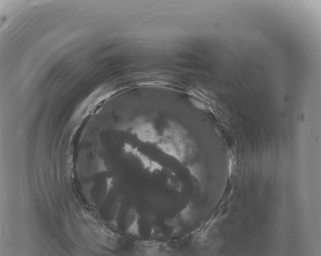 X0000061760339200512091707