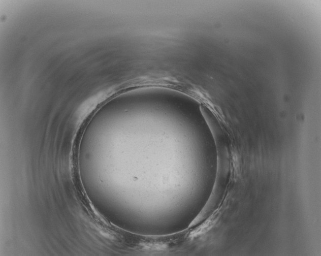 X0000061760340200512091707