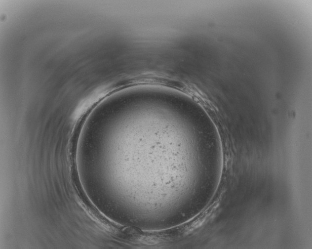 X0000061760341200512091707