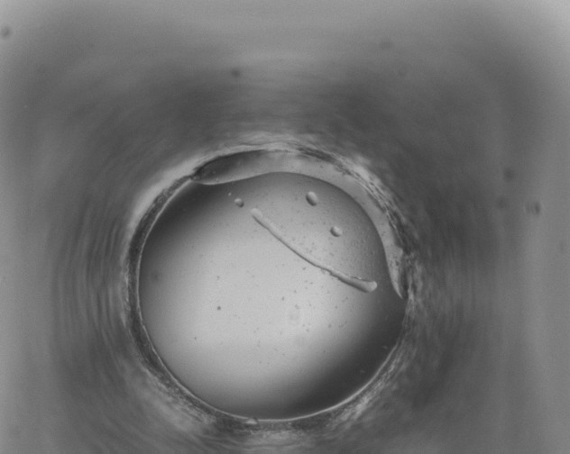 X0000061760342200512091707