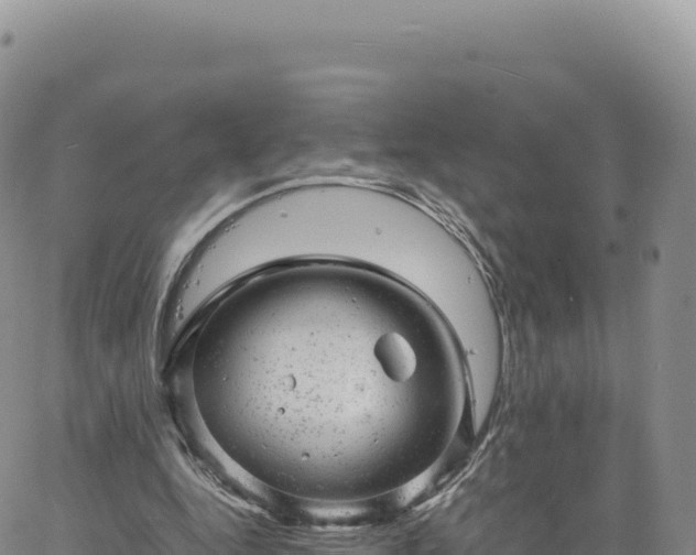 X0000061760344200512091707