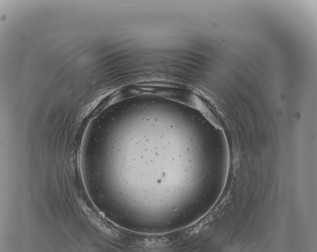 X0000061760345200512091707