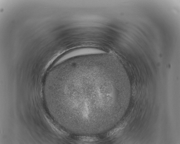 X0000061760347200512091707