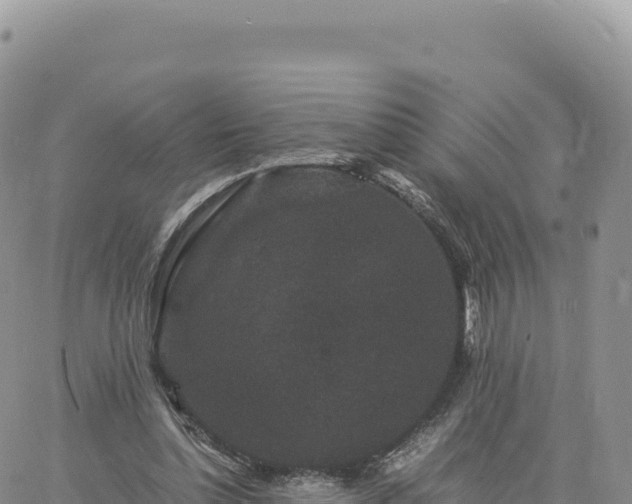 X0000061760348200512091707