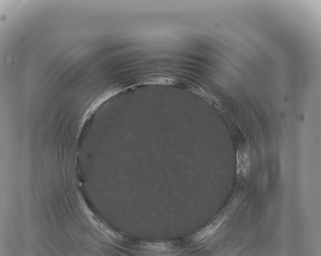 X0000061760349200512091707