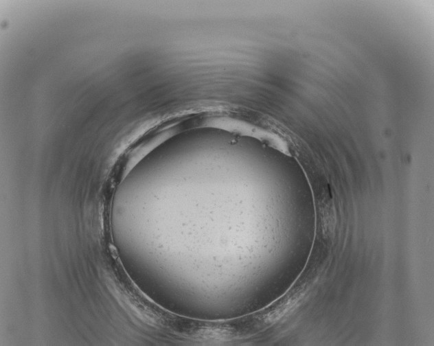 X0000061760350200512091707