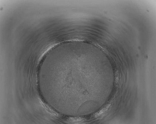 X0000061760351200512091707