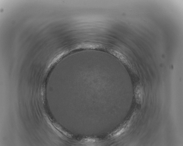 X0000061760352200512091707