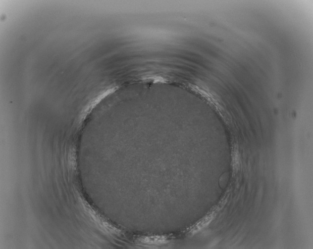 X0000061760353200512091707