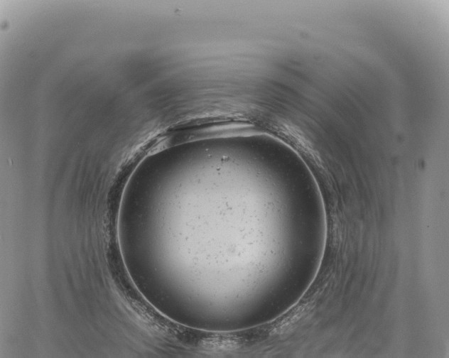 X0000061760354200512091707