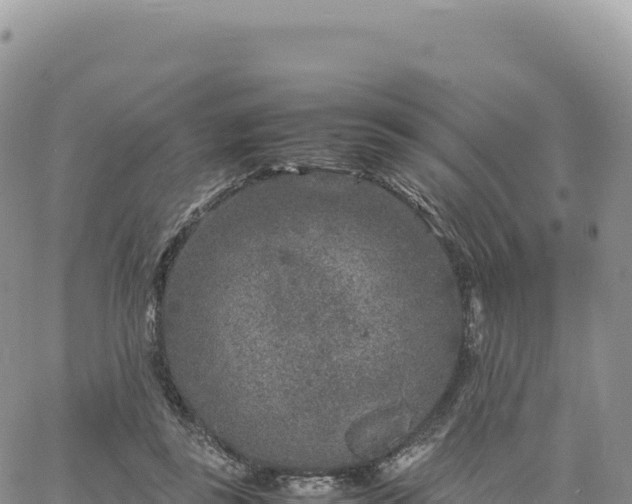 X0000061760355200512091707